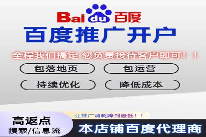 百度竞价托管运营策略案例分析